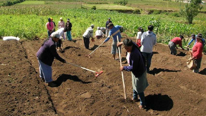 Disminuye el desempleo agrícola.