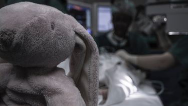 Imagen referencial.&nbsp;