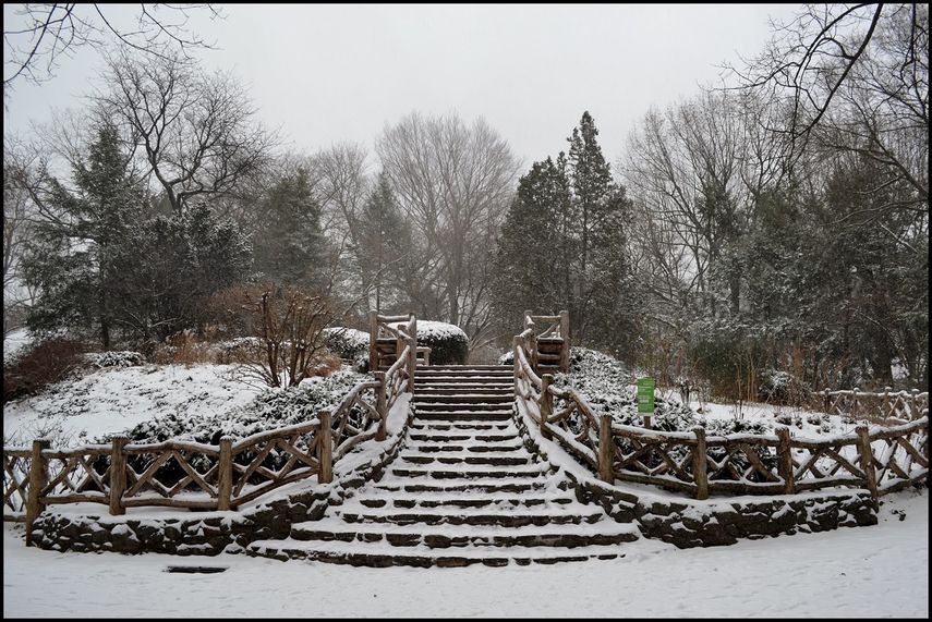 La peor tormenta de nieve en la historia de Nueva York tuvo lugar en enero de 2016, con un saldo de al menos 18 muertos en la costa este del país. El récord se batió en Central Park, que recibió 67 cm de nieve en un solo día.