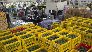 El producto llega procedente de Michoacán (México).