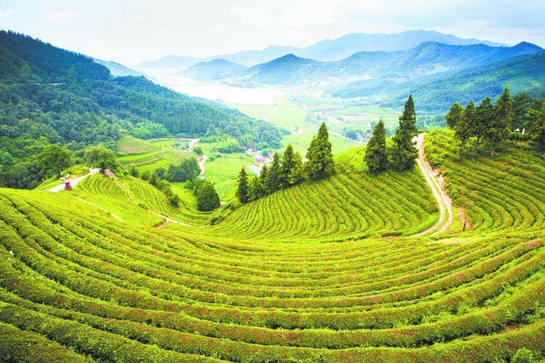 Corea del Sur y sus atracciones más allá de Seúl