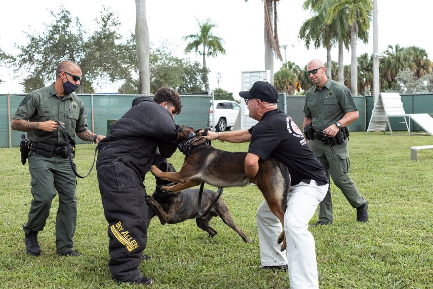 La unidad canina, K9, en prácticas.&nbsp;
