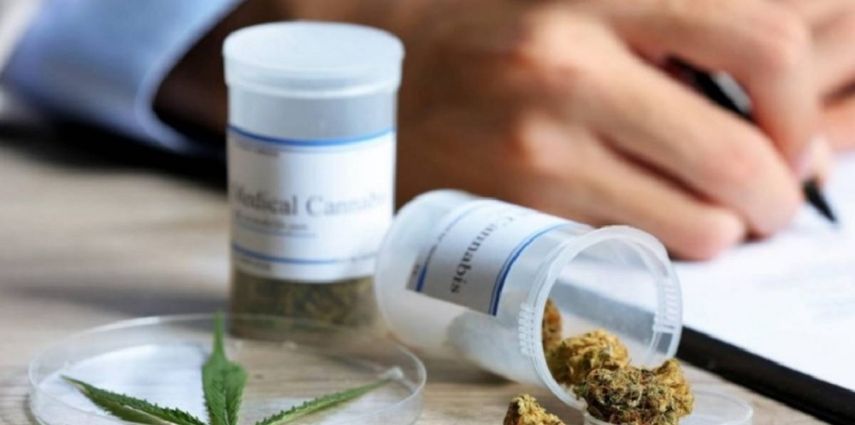 La industria del cannabis en Puerto Rico ha generado más de 35 millones de dólares en la economía y más de mil empleos directos e indirectos.