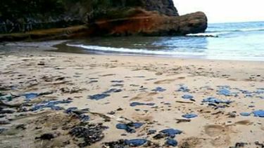 Pdvsa informó en un comunicado que había intensificado un Plan de Contingencia en la zona costera oriental del país, luego de que encontraran crudo en algunas playas del estado Sucre y Nueva Esparta.