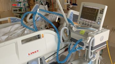 La activista Xiomara Cruz Miranda se encuentra en estado grave de salud.