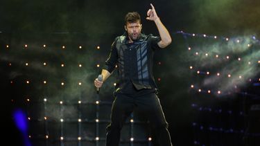 El cantante Ricky Martin.&nbsp;