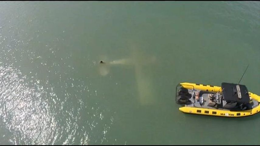 El avión quedó parcialmente sumergido a orillas de la Isla Watson. (WSVN) 