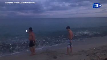Captura del video enviado a DIARIO LAS AM&Eacute;RICAS por Dayami Rodr&iacute;guez sobre una mancha de peces en la playa Haulover Beach, en el sur de Florida.