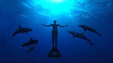 El documental estadounidense The Cove.