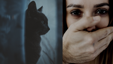 1 de cada 3 mujeres y 1 de cada 4 hombres en Estados Unidos han experimentado algún tipo de violencia doméstica.