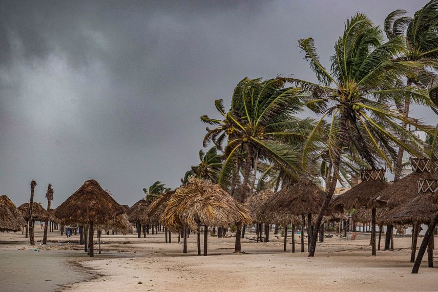 Se ven palmeras golpeadas por fuertes vientos causados por las lluvias del huracán Milton en Puerto Progeso, estado de Yucatán, México, el 8 de octubre de 2024