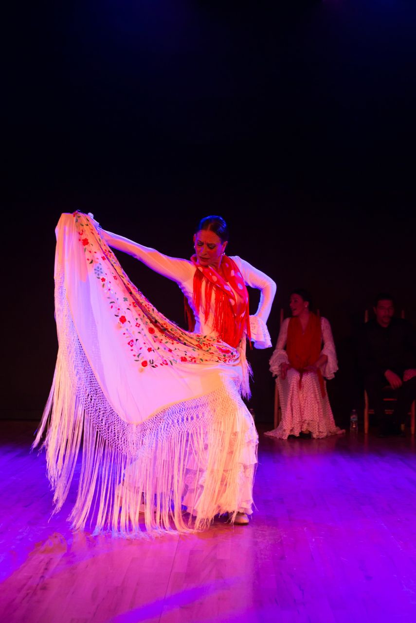 Presentación del Ballet Flamenco La Rosa.