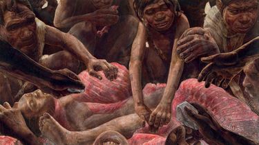 La conservación excepcional de los vestigios descubiertos ahora en Bélgica ha permitido asimismo recuperar ADN mitocondrial que, al ser comparado con el de otros neandertales (CORTESÍA/