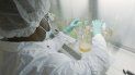 En esta imagen de mayo de 2020 distribuida por Eli Lilly, un investigador prueba posibles anticuerpos de COVID-19 en un laboratorio de Indianápolis. (David Morrison/Eli Lilly En esta imagen de mayo de 2020 distribuida por Eli Lilly, un investigador prueba posibles anticuerpos de COVID-19 en un laboratorio de Indianápolis. (David Morrison/Eli Lilly