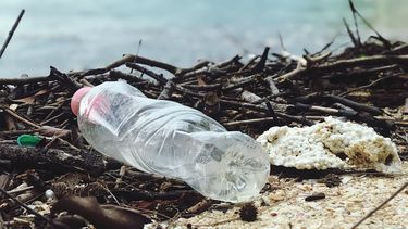 Imagen referencial de residuos plásticos en la orilla de una playa. 