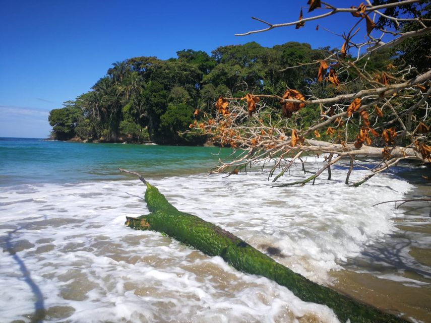 Puerto Viejo Lim&oacute;n, Costa Rica.&nbsp;
