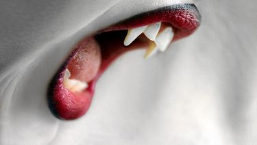 El joven vagabundo está acusado de haberse comido la lengua y el corazón de la víctima.