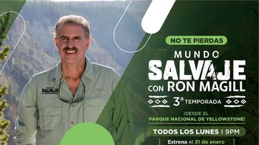 Nueva temporada de Mundo Salvaje con Ron Magill se estrena el 31 de enero.