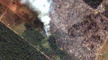 Esta imagen satelital del 15 de agosto de 2019 de Maxar Technologies muestra una vista de cerca de un incendio al suroeste de Porto Velho, Brasil. El Instituto Nacional de Investigación Espacial de Brasil, una agencia federal que monitorea la deforestación y los incendios forestales, dijo que el país ha visto un número récord de incendios forestales este año hasta el martes 20 de agosto