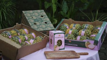 Vista de piñas rosas en la planta de la empresa Del Monte Fresh en Buenos Aires, provincia de Puntarenas, Costa Rica, el 16 de marzo de 2023.