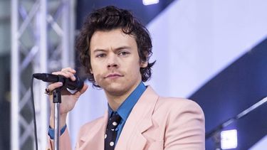 Harry Styles es un cantante, compositor y actor británico.&nbsp;