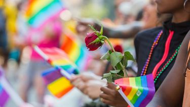 Las banderas de reivindicación de los derechos de la comunidad LGBT son un símbolo mundial de solidarización en las marchas del orgullo.&nbsp;