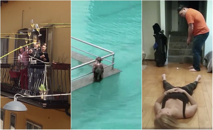 En estos d&iacute;as las redes sociales son un hervidero de videos y memes sobre la cuarentena en tiempos de coronavirus.&nbsp;