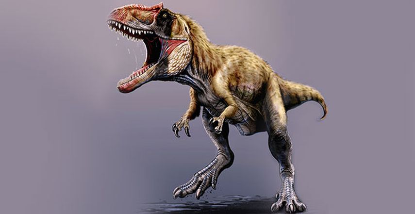 Reproducción artística provista por el museo Field, del dinosaurio recientemente descubierto, llamado Siats meekerorum. Los investigadores descubrieron el fósil de este depredador gigante de hace 100 millones de años en Utah. Es el primero de su tipo d