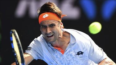 El español David Ferrer no pudo ante el número tres del mundo 