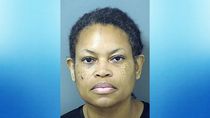 Cheryl Ann Leslie residente de Palm Beach, Florida, arrestada por fraude electoral.