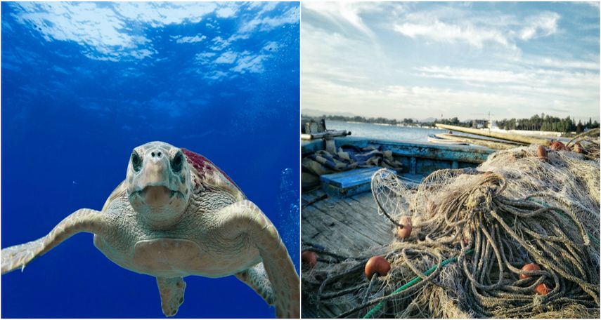 Imagen referencial.&nbsp;