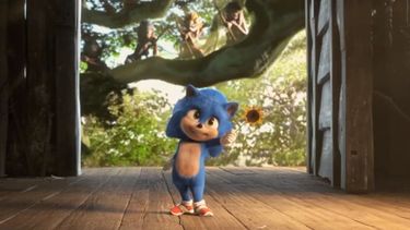 Esta versi&oacute;n beb&eacute; de Sonic presenta un dise&ntilde;o muy similar al del &uacute;ltimo CGI del erizo, modificado despu&eacute;s de que las primeras e hiperrealistas im&aacute;genes provocaran la ira y las burlas de los fans.