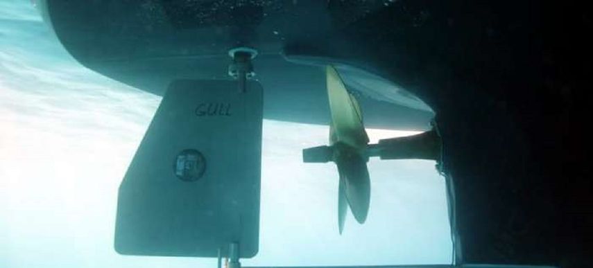 La Comisión de Conservación de Peces y Conservación de Florida está investigando el incidente.