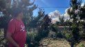 Darren King mira el humo que se alza sobre los árboles el domingo 12 de junio de 2022 a las afueras de Flagstaff, Arizona. Las autoridades evacuaron el domingo partes del norte de Arizona mientras crecía un incendio unos 9 kilómetros (6 millas) al norte de Flagstaff. 
