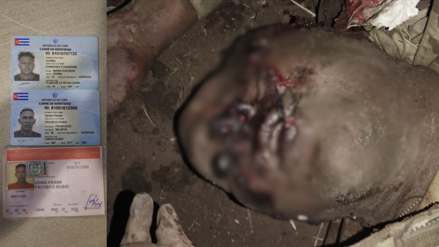 Varios carnets de identidad de cubanos que supuestamente habrían servido como mercenarios para Rusia.&nbsp;
