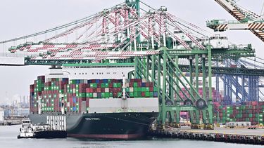 Imagen del puerto de Los Ángeles en San Pedro, California.