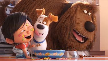 Secuela de The Secret Life of Pets (2016), esta nueva película vuelve a contar las aventuras y desventuras de un grupo de animales de Nueva York cuando sus dueños salen por la puerta.