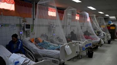 Pacientes con dengue descansan bajo un mosquitero en el Hospital Escuela Universitario de Tegucigalpa el 12 de julio de 2024. Un brote de dengue en Centroamérica ha dejado un centenar de muertos este año, y Guatemala representa la mitad de las muertes, informaron funcionarios de salud. el viernes.&nbsp;