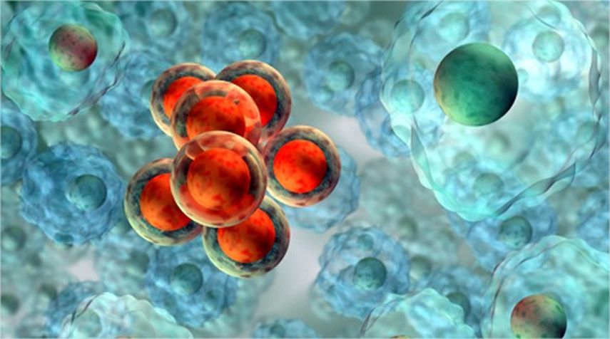 Avanzan las investigaciones contra el cáncer de vejiga