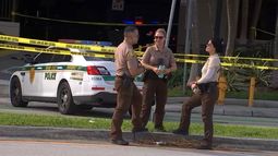 Imagen de referencia del Departamento de Policía de Miami - Dade. Imagen de referencia del Departamento de Policía de Miami - Dade.