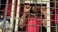 Un niño junto con personas detenidas para ser deportadas hacia Haití, en un camión policial, en un puente que conecta a Dajabón, República Dominicana, con Haití, el 18 de marzo de 2024.&nbsp;
