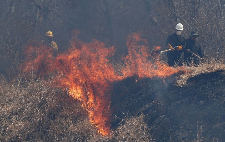Los incendios forestales en Bolivia, ya han consumido más de tres millones de hectáreas. Archivo.