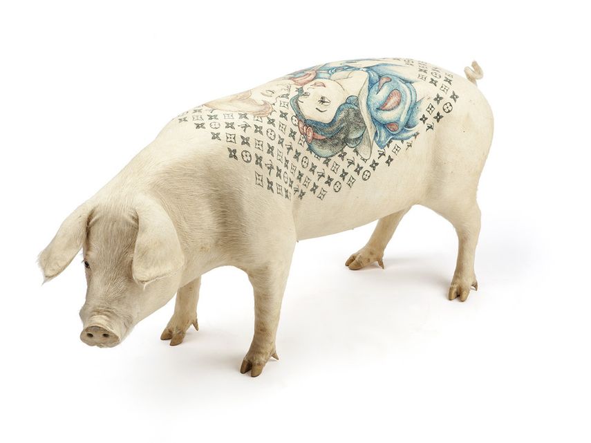 Cerdito tatuado. Foto cortesía Wim Deslvoye.