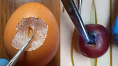 Estudiante de medicina practica cirugía con alimentos frescos