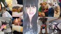 La rescatista Stella Di Pietro se enfoca en proteger a gatos y perros callejeros en Miami para que sean tratados por veterinarios y encuentren hogares permanentes. La rescatista Stella Di Pietro se enfoca en proteger a gatos y perros callejeros en Miami para que sean tratados por veterinarios y encuentren hogares permanentes.