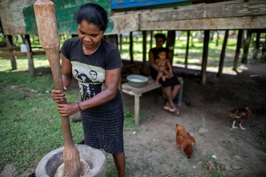Una mujer ind&iacute;gena Miskita realiza el proceso de limpieza del arroz en la comunidad de Sangnilaya, Puerto Cabezas, Regi&oacute;n Aut&oacute;noma de la Costa Caribe Norte de Nicaragua, el 24 de septiembre de 2020.