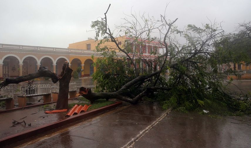 Vista de un árbol caído en las calles de la ciudad de Remedios, en el centro de&nbsp;Cuba.