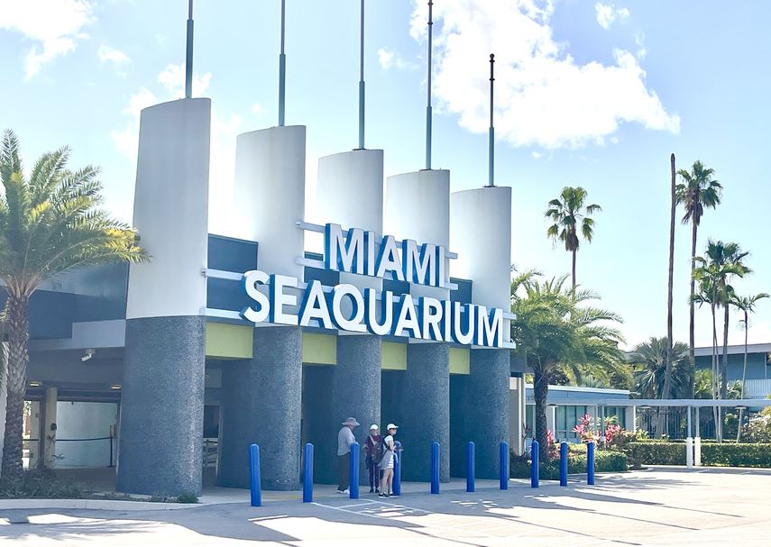 Miami Seaquarium Rechaza Demanda De Desalojo Del Condado