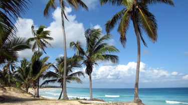 Diario las Américas | paisaje7.jpg