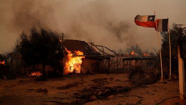 Incendios forestales avanzan por el centro sur de Chile